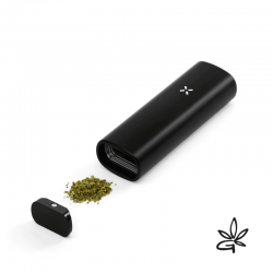 PAX Mini Onyx - Pax - Vaporisateur Weed