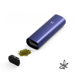 PAX Plus Periwinkle Kit Complet - Pax