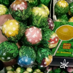 Sucette au cannabis Bubblegum x Orange Bud - Dr Greenlove - Edibles