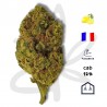 Gardenz Kush CBD - Fleur de chanvre CBD