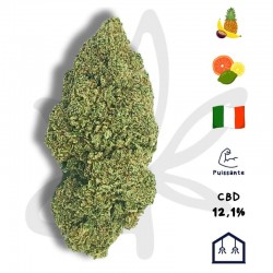 Grape Fruit CBD - Fleur CBD