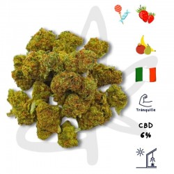 Pop Corn CBD - Fleur de chanvre CBD