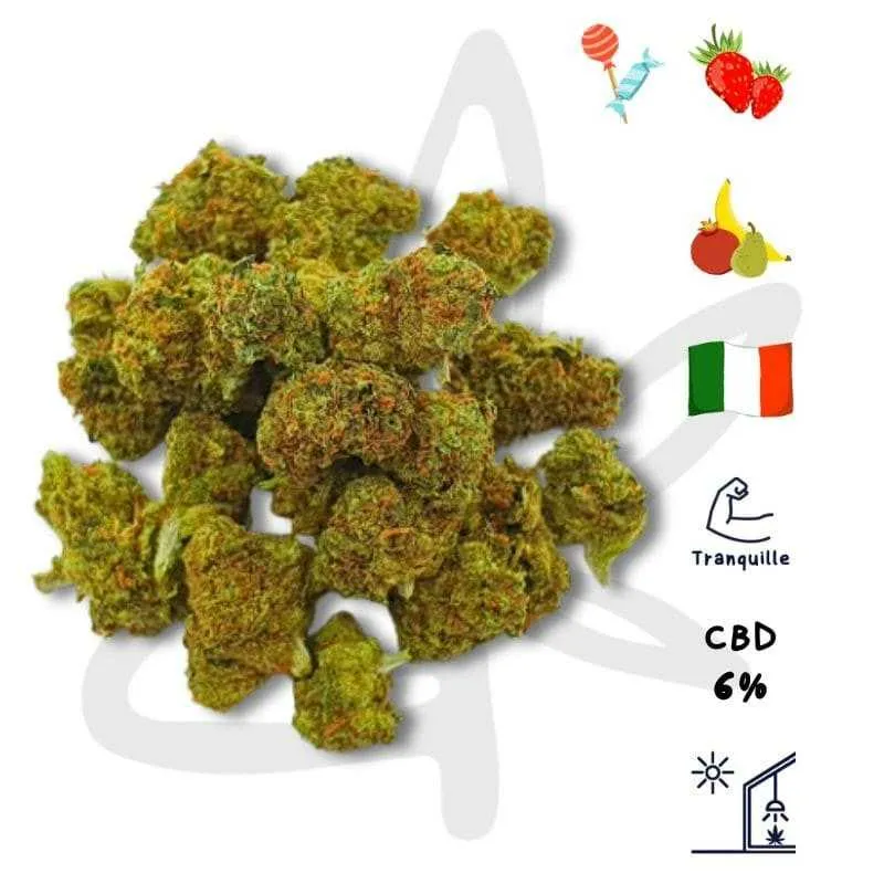 Pop Corn CBD - Fleur de chanvre CBD