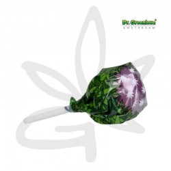 Sucette au cannabis Bubblegum x Purple haze - Dr Greenlove - Edibles