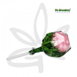 Sucette au cannabis Bubblegum x Strawberry Haze - Dr Greenlove - Edibles