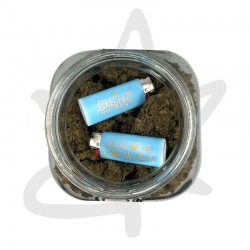 Briquet bic - Gardenz