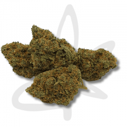 Blueberry CBD - Fleurs de CBD