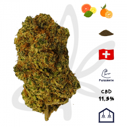 Orangello CBD - Fleur CBD