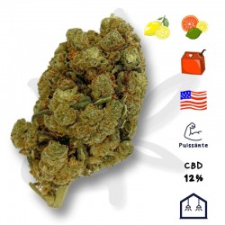 Amnesia US CBD - Fleurs de CBD