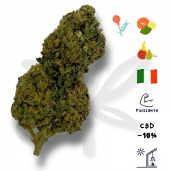 BZ1 CBD - Fleurs de CBD