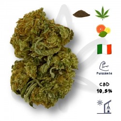 BZ Queen CBD - Fleurs de CBD