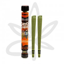 Blunt pré roulé "Cheech&Chong Tropical Pulp" x2 - G-ROLLZ