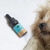 Huile CBD chien "Bacon" 3% CBD 10ml - Weedness CBD - Huile CBD animaux