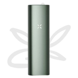 PAX Plus Sage Starter Kit - Pax