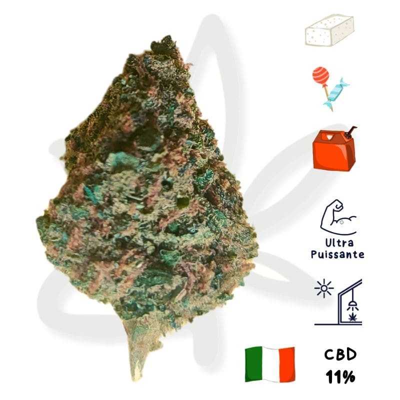 Pink panther - Fleurs de CBD