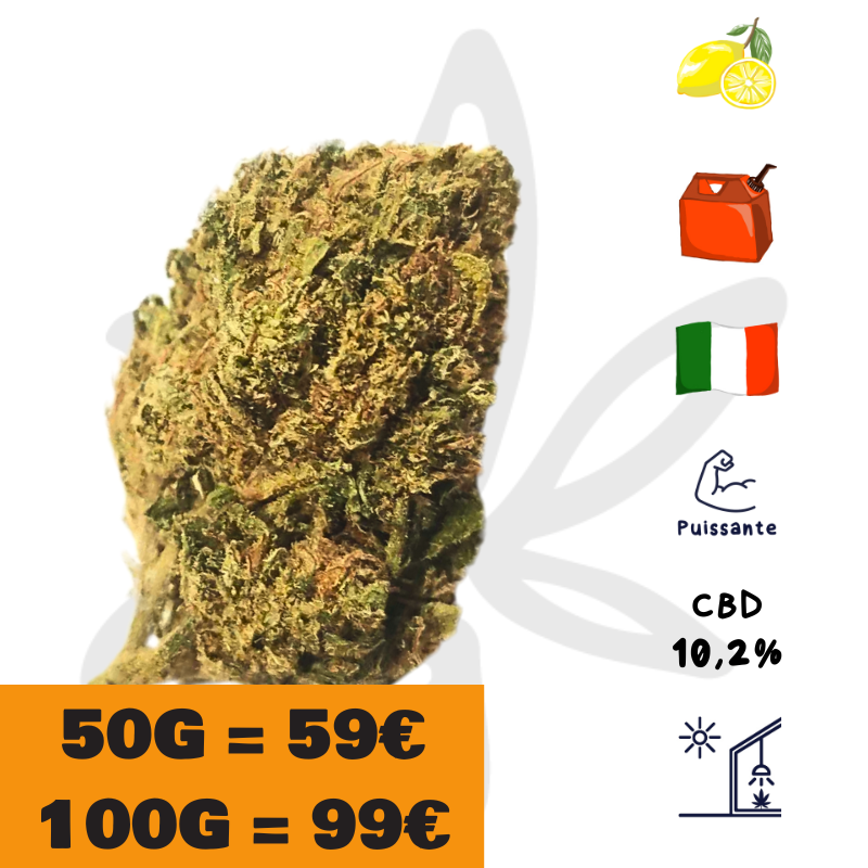 Dr Lemon OG CBD - Fleurs de CBD