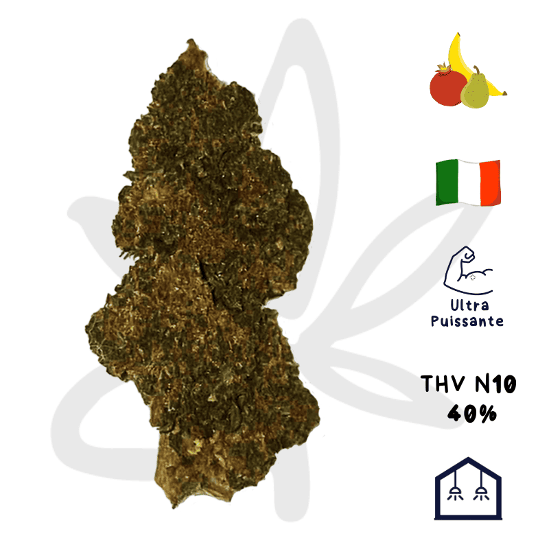 Skywalker OG THV N10 - Fleurs de THV N10