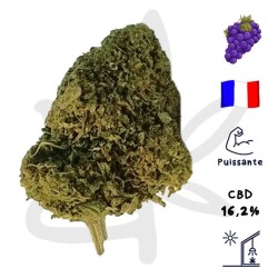 Queen Catherine CBD - Fleurs de CBD