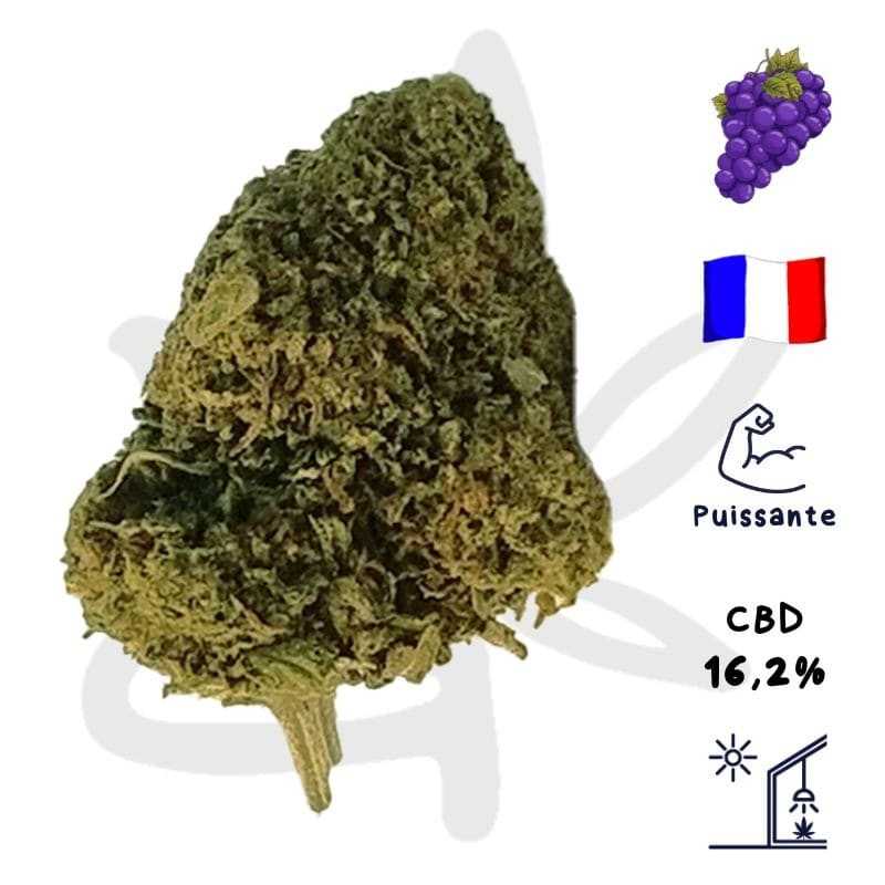 Queen Catherine CBD - Fleurs de CBD