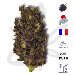 Black Purple CBD - Fleur de chanvre CBD