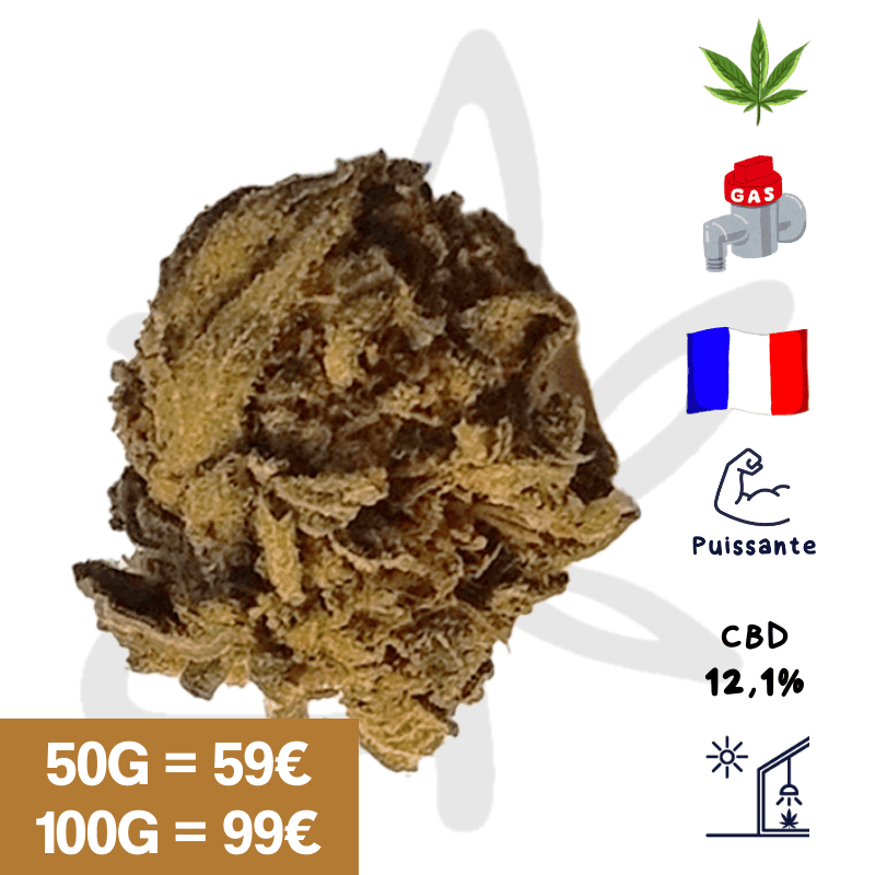 Diesel Tonic CBD - Fleur de chanvre CBD