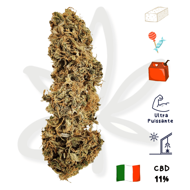 Pink panther CBD - Fleur de chanvre CBD