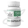 Capsule CBD 750mg x30 - Cannaline