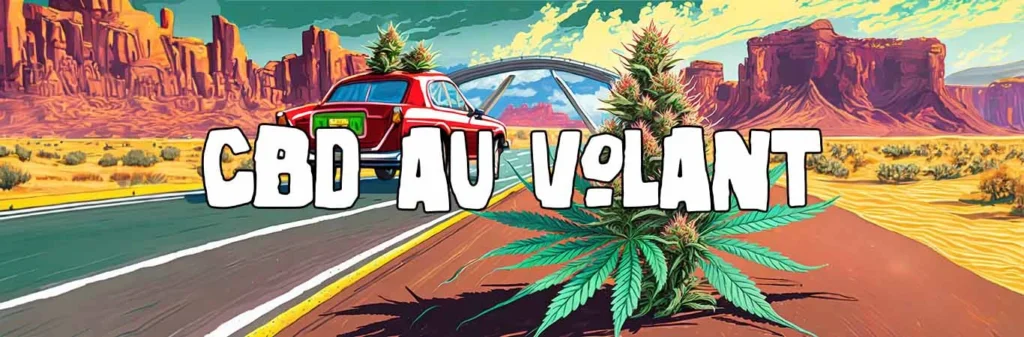 CBD au volant