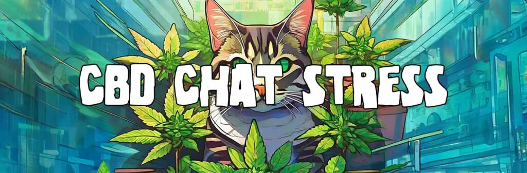 CBD chat stress : le bien-être pour votre chat avec du CBD