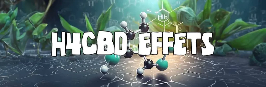 H4CBD effets