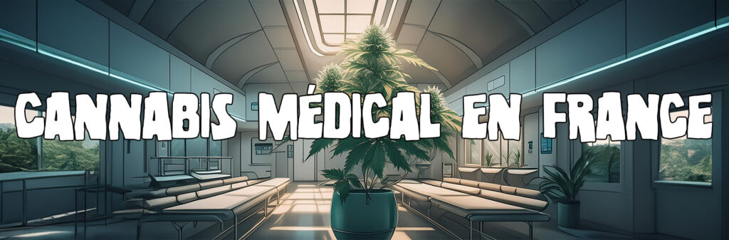 Cannabis médical en France : on en est où ?