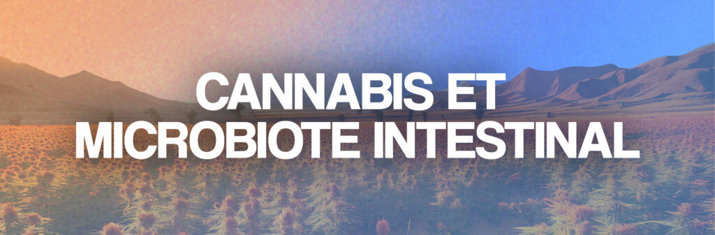 cannabis microbiote